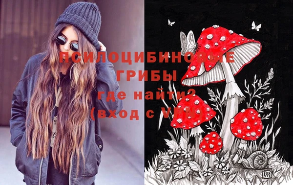 индика Алексеевка