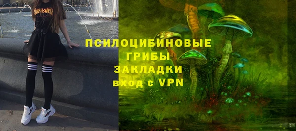 индика Алексеевка