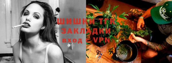 индика Алексеевка