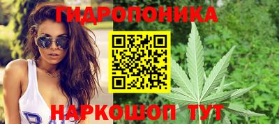 эйфоретик Будённовск