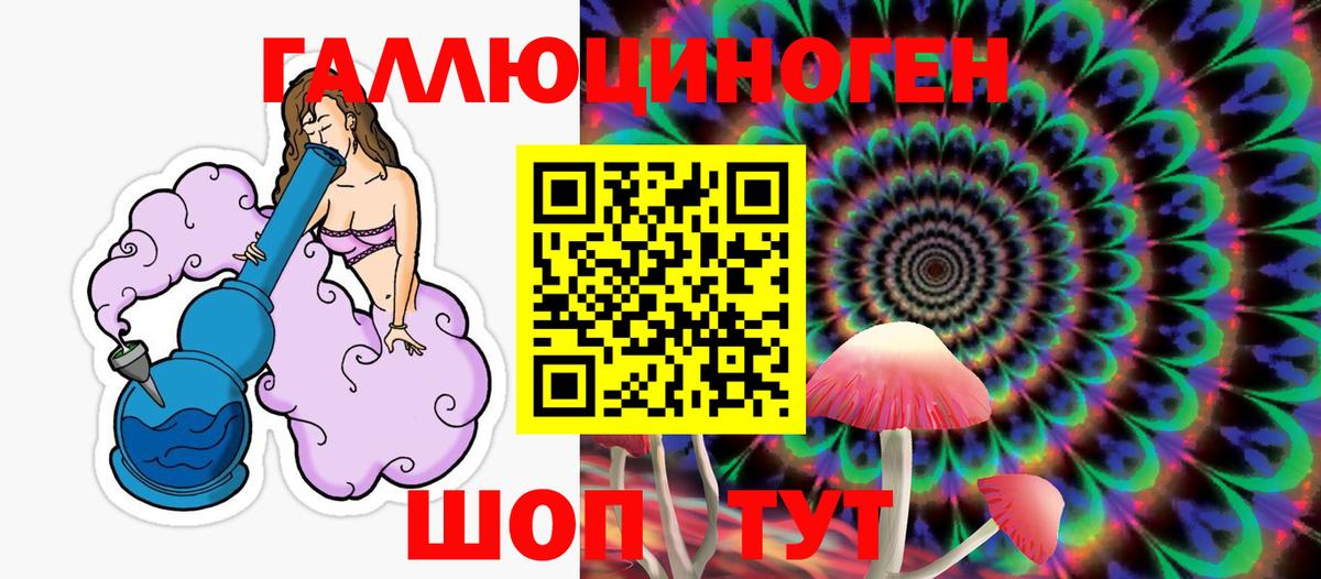 Галлюциногенные грибы Psilocybe  Вход с VPN  Березники 